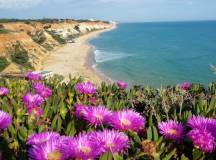 algarve-beach-with-w