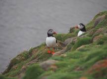 Arctic Saga: Spitsbergen, Faroes & Jan Mayen