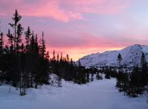 Norway Cross-country Skiing