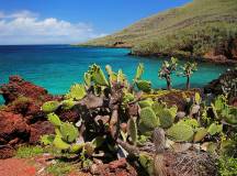 Galapagos