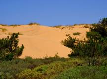 rota-vicentina-dune