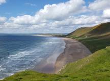 worms head