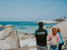 Cape Town and the Garden Route – Premium Adventure
