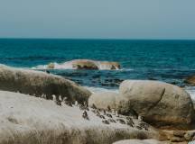 Cape Town & the Garden Route