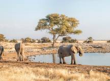 Botswana & Namibia: Delta & Dunes
