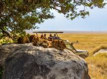 Tanzania Safari Adventure
