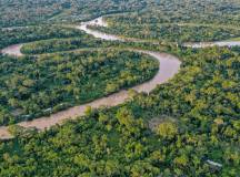 Amazon Rain Forests Peru