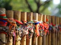 Vietnam & Cambodia Highlights