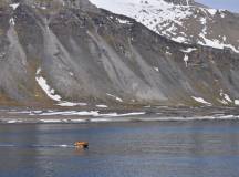 Spitsbergen Explorer: Wildlife Capital of the Arctic (2024)