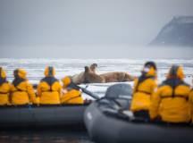 Spitsbergen Explorer: Wildlife Capital of the Arctic (2024)