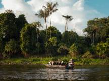 Amazon Rainforest Add-on Tour (from Cuzco)