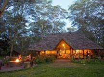 Safari Add-on Tour after Rongai Route