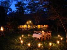 Safari Add-on Tour after Rongai Route