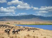 Safari Add-on Tour after Rongai Route