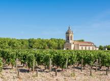 Walking in the Vineyards of Bordeaux and Medoc