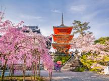 Walk the Kumano Kodo