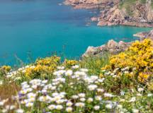 Walking in Jersey, Guernsey and Sark