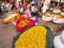 India’s Golden Triangle