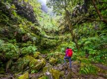 Walking the Island of Madeira