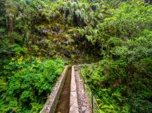 Walking the Island of Madeira