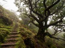 Walking the Island of Madeira