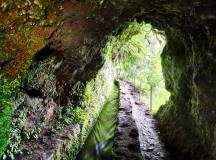 Walking the Island of Madeira