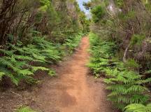 Walking the Island of Madeira
