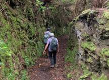 Walking the Island of Madeira