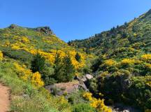 Walking the Island of Madeira
