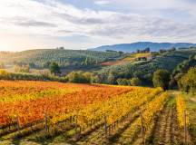Rome, Assisi & Magical Umbria – Premium Adventure