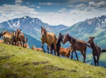 Kyrgyzstan Walking Explorer