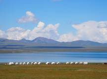 Kyrgyzstan Walking Explorer