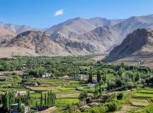 Ladakh: Nubra Valley Trek