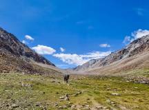 Ladakh: Nubra Valley Trek