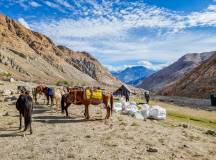 Ladakh: Nubra Valley Trek