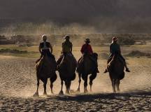 Ladakh: Nubra Valley Trek