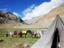 Ladakh: Nubra Valley Trek