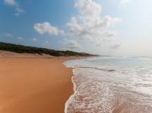 Southern Africa Safari: Kruger & Coast