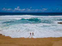 Southern Africa Safari: Kruger & Coast