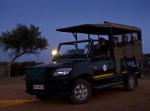 Southern Africa Safari: Kruger & Coast