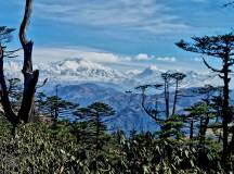 Darjeeling, Sikkim & the Singalila Ridge