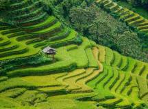 Hidden Vietnam: Sapa & Beyond