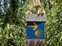 Cycle the Coastal Portuguese Camino