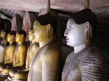 Sri Lanka: Wonders & Wildlife – Premium Adventure