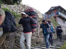 Into Nepal: Walks & Wildlife