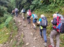 Into Nepal: Walks & Wildlife