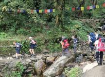 Into Nepal: Walks & Wildlife