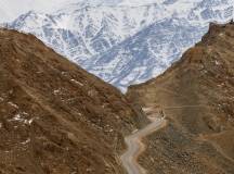 Search for Snow Leopards with Valerie Parkinson