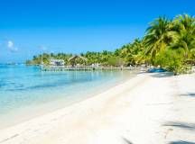 Belize Reef & Ruins