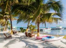 Belize Reef & Ruins